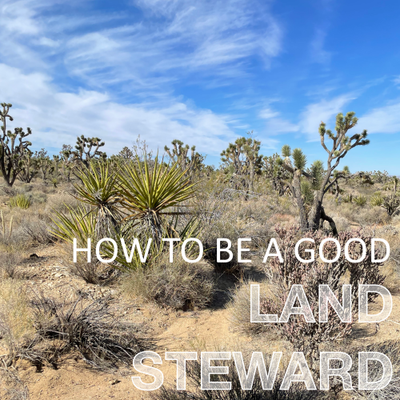 How to be a Good Steward of the Land