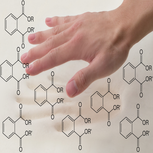 What are Phthalates?