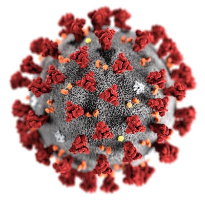 Corona Virus Pandemic - It's not too late to prepare!