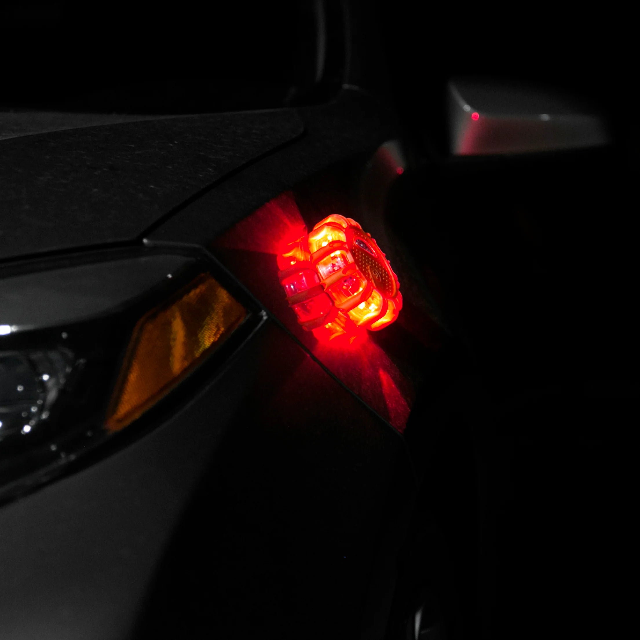 FRED™ Light (3-pack)