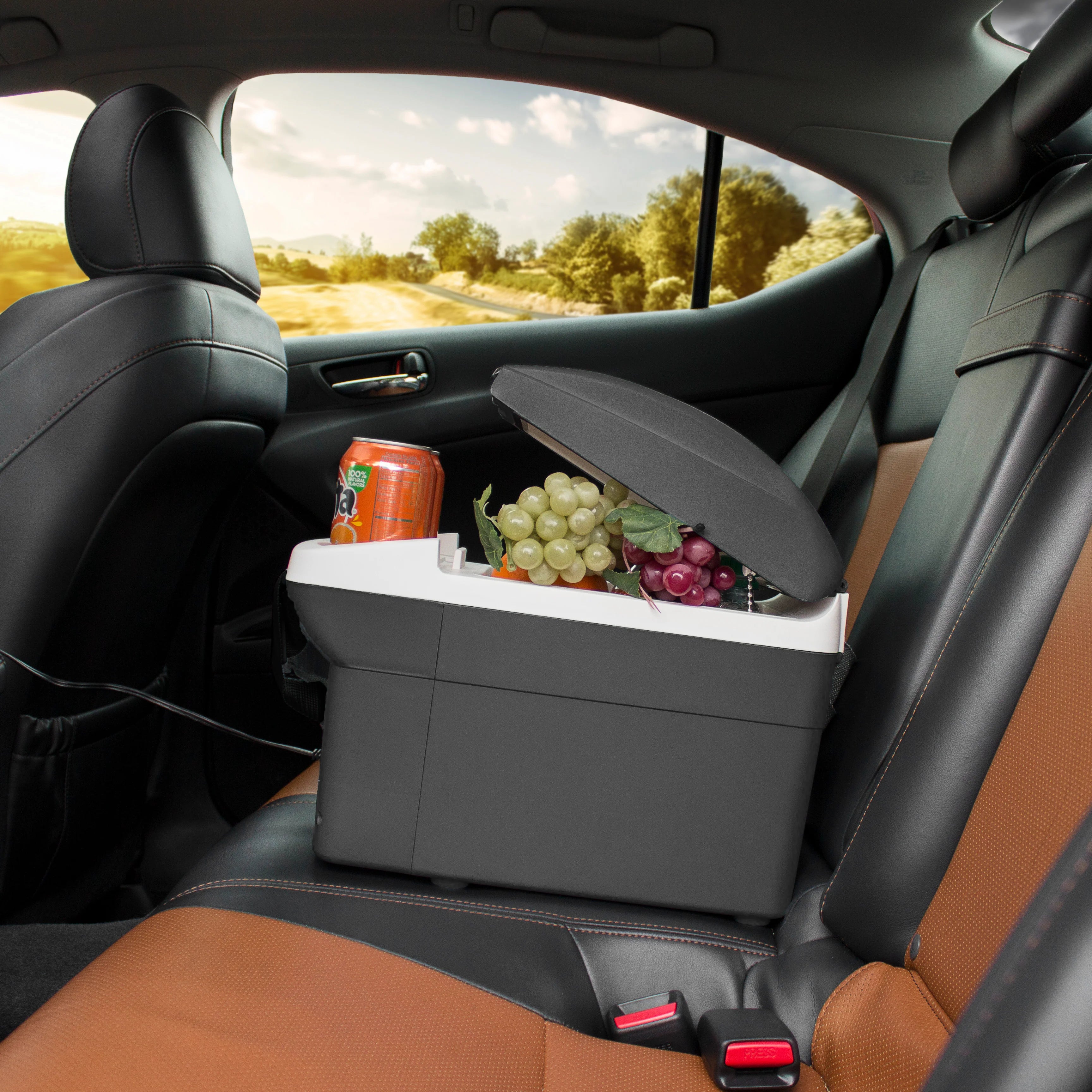 6 Quart Personal Fridge/Warmer