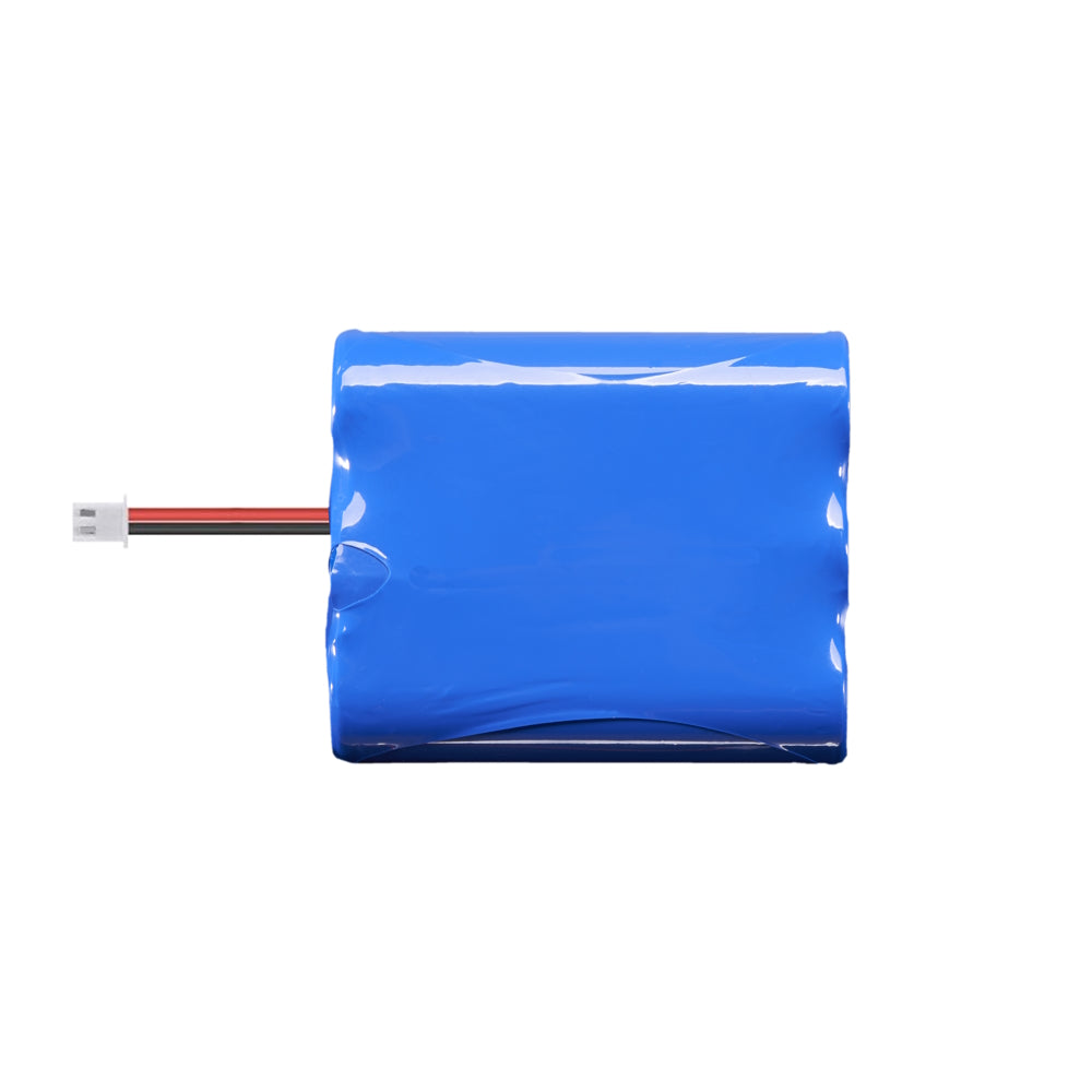 Lithium-ion Battery - Solar + LED Floodlight 1000