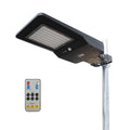 Solar + LED Floodlight 6000